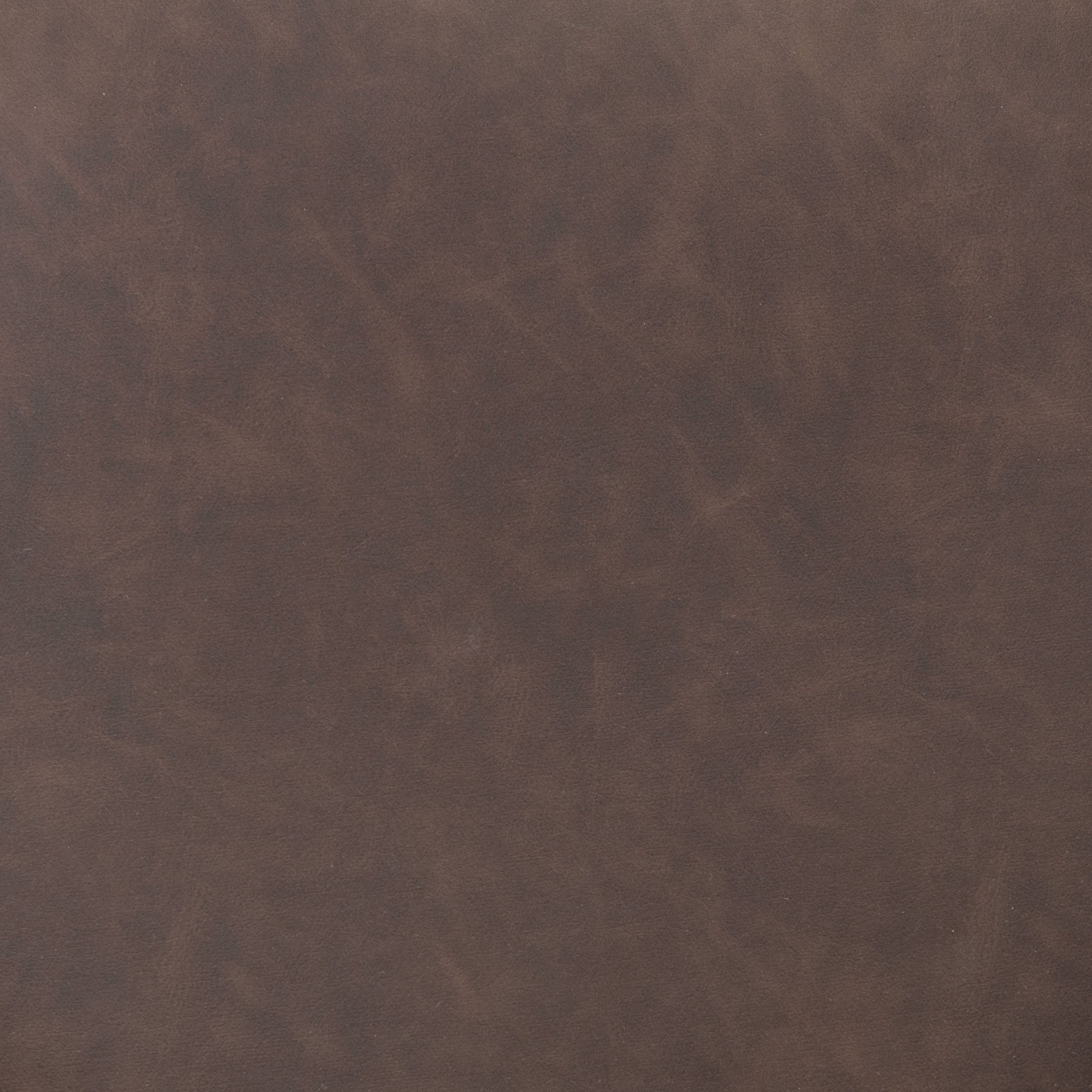Zuo Auction Executive Office Chair – Espresso